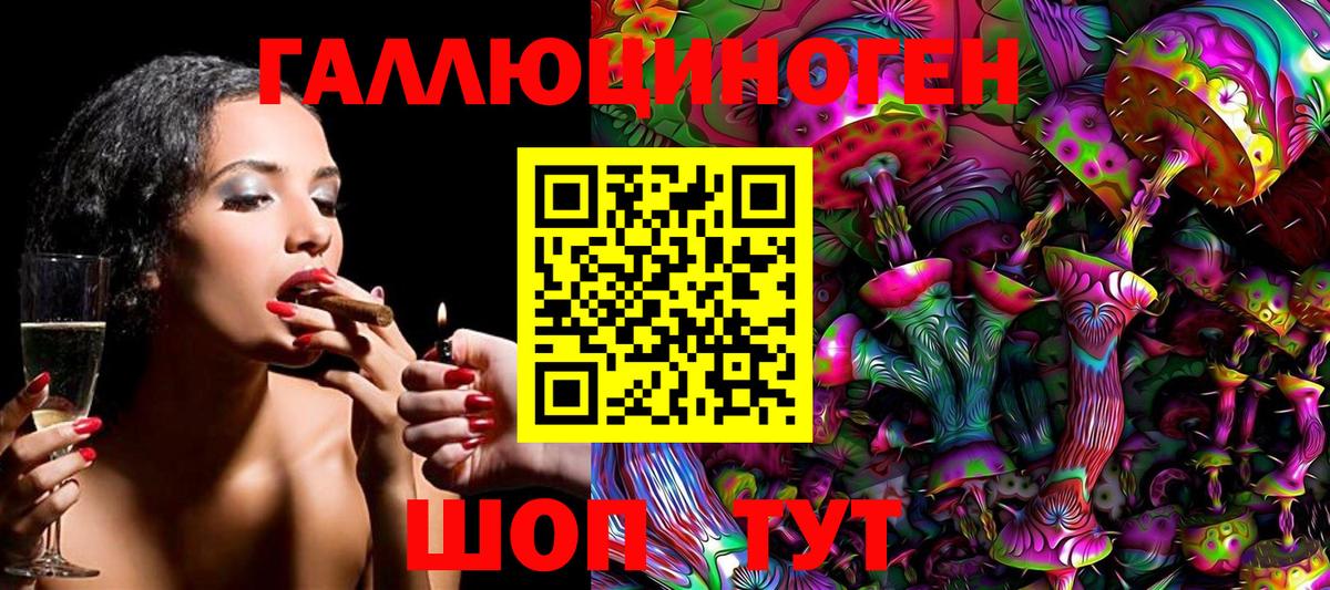 Псилоцибиновые грибы Psilocybe Приморско-Ахтарск